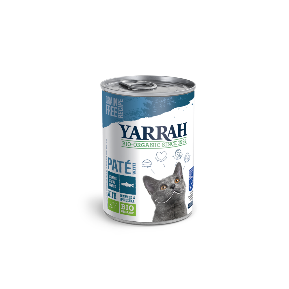 cat food tins