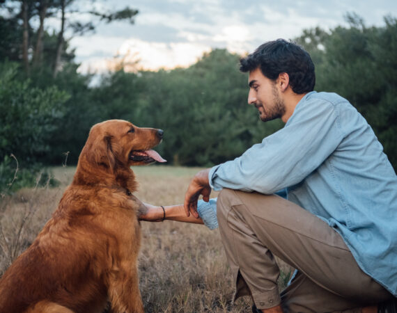 The Importance of Pets