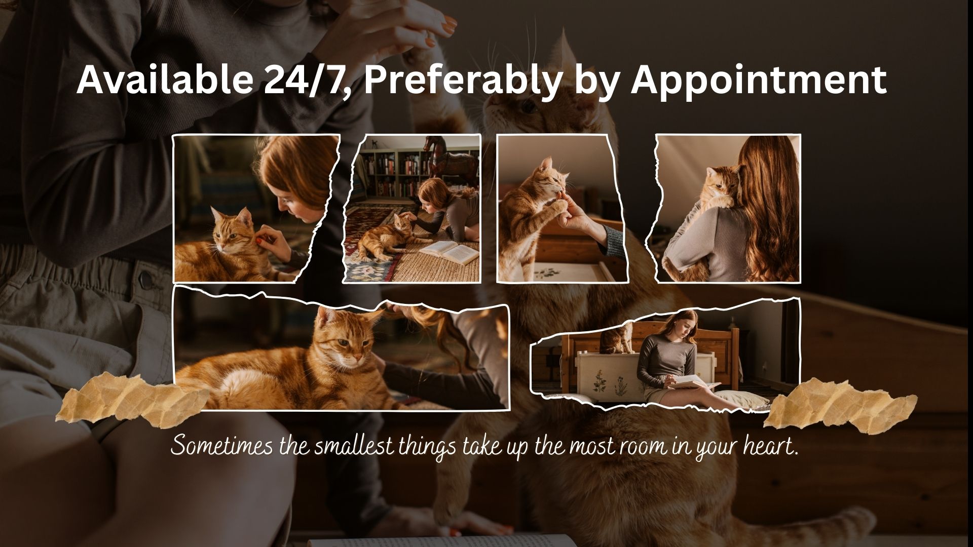 Brown Modern Photo Collage Pet Desktop Wallpaper (2)