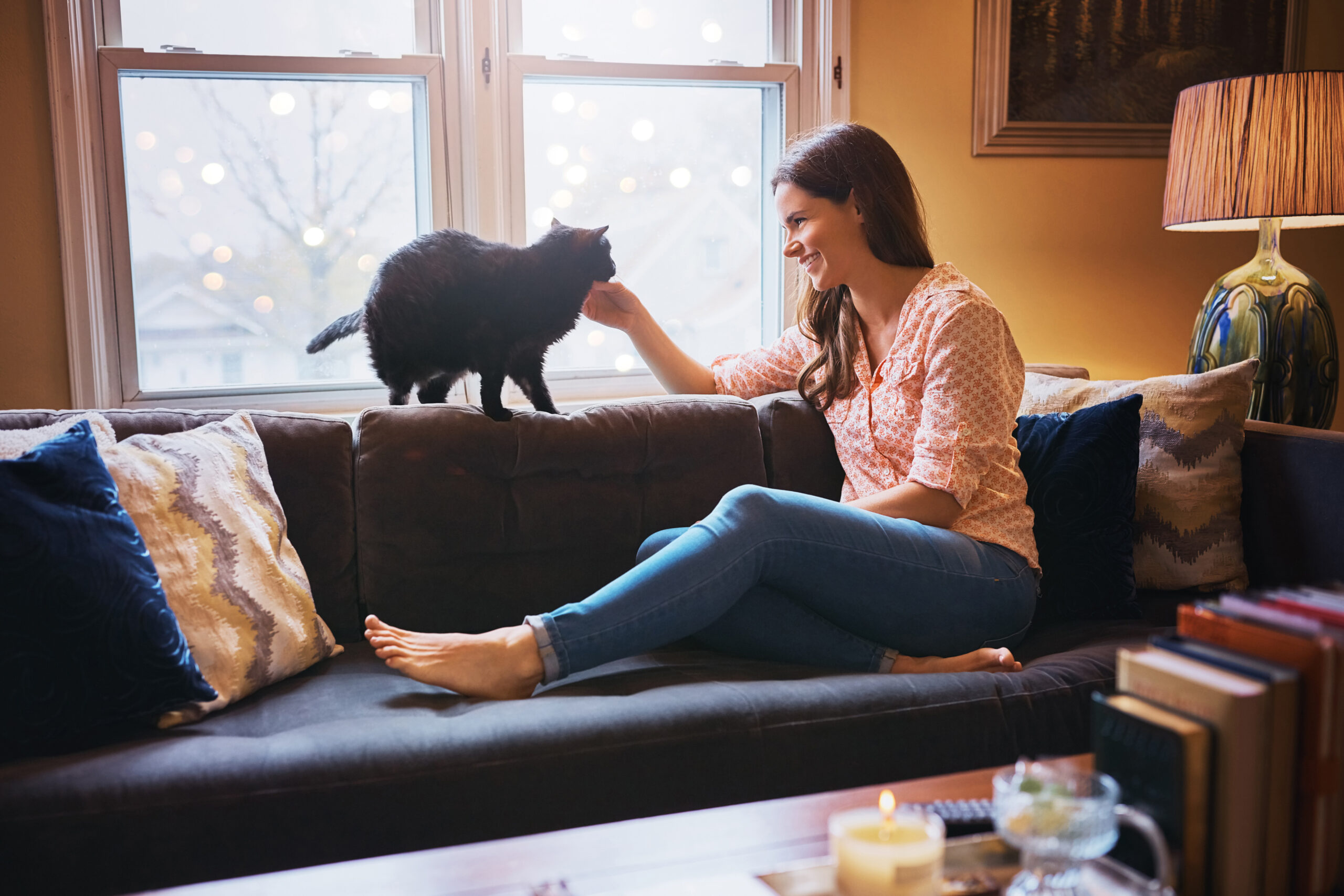 woman-play-stroke-cat-home-love-scratch-domestic-animal-companion-loyalty-female-person-pet-care-peace-living-room-friendly-rescue-adoption-sofa-support