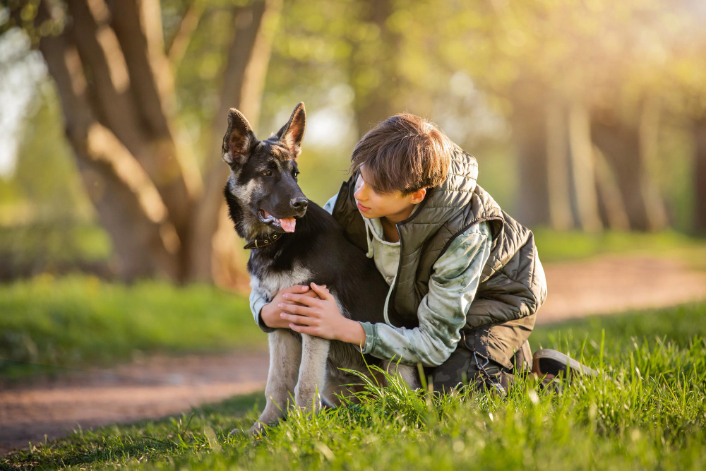 Professional Pet Cremation